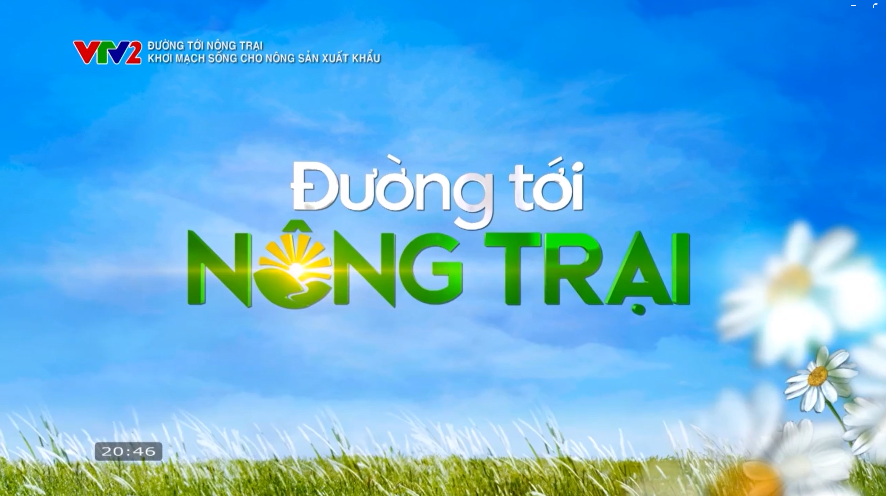 Đường Tới Nông Trại- Khơi Mạch Sống Cho Nông Sản Xuất Khẩu - Vtvgo